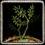 Haunted plant's stem