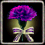 Azure Carnation