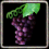 Aged Wine